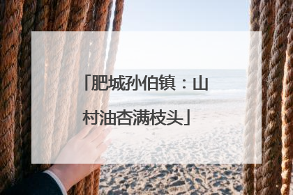 肥城孙伯镇：山村油杏满枝头